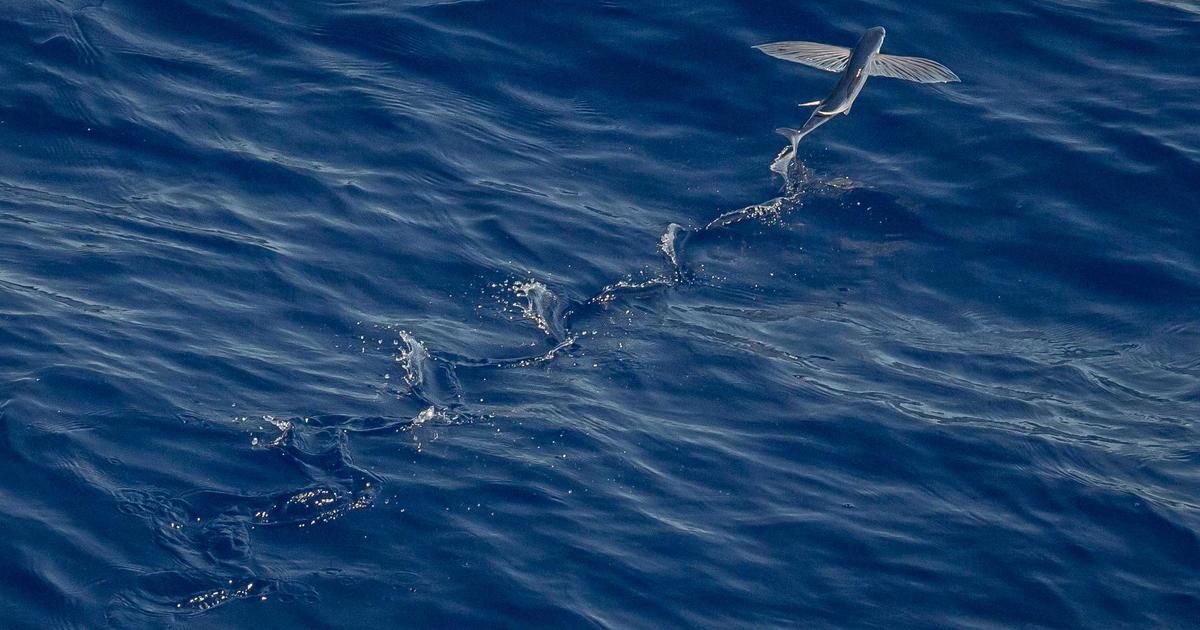 深度解析：企业数字化转型与AI赋能的实战指南-家和文化生态圈