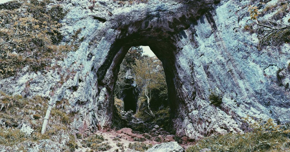 卓越领导者必修课：从管理者到领导者的进阶之路-家和文化生态圈