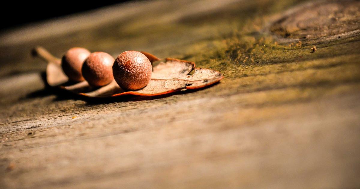 情绪领导力对团队绩效的影响