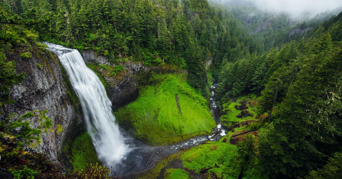 情绪领导力对团队绩效的影响