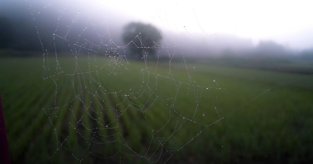 情绪领导力对团队绩效的影响