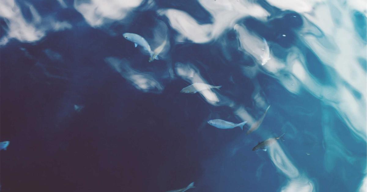 卓越领导者核心能力模型