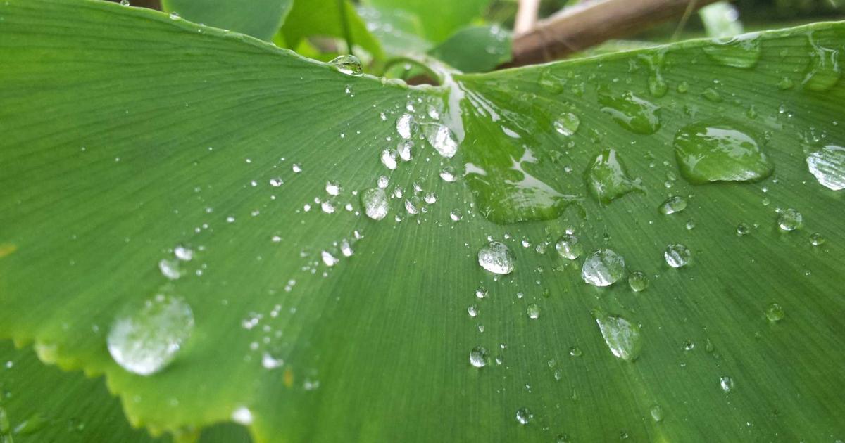 卓越领导者核心能力模型