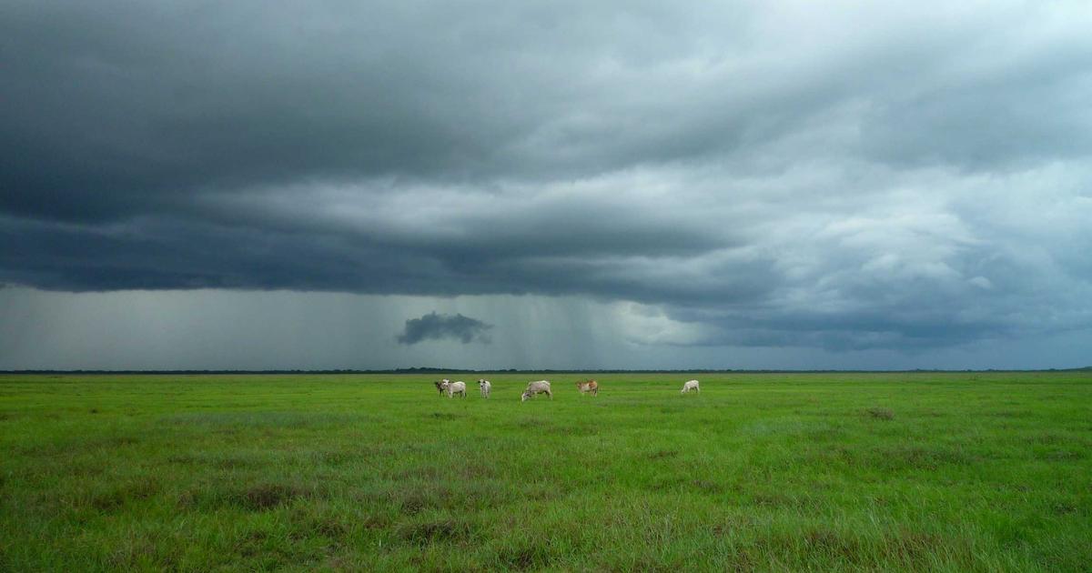 卓越领导者核心能力模型