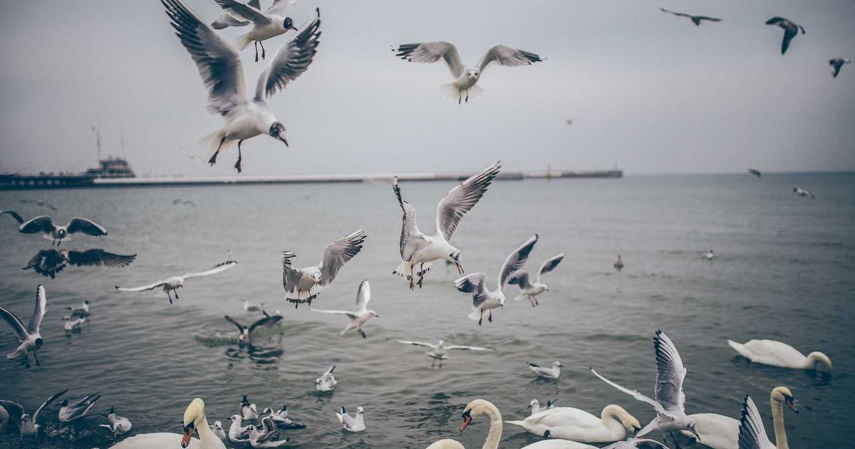 卓越领导者核心能力模型