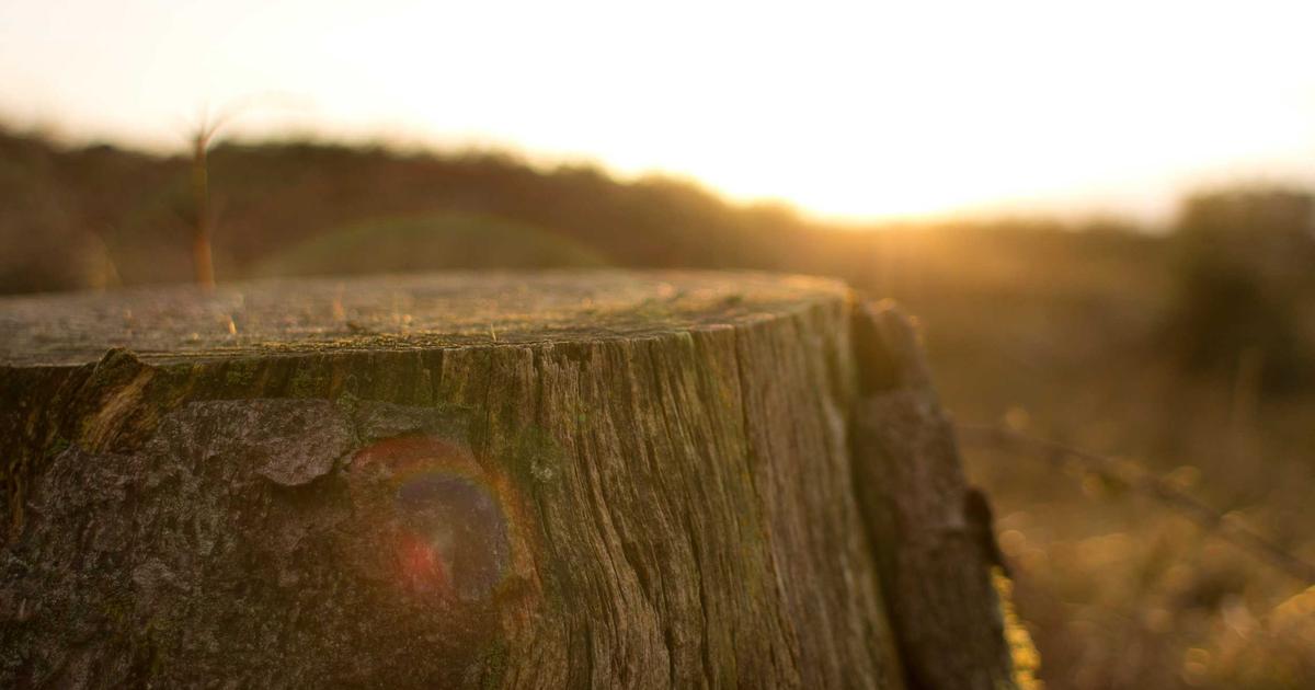 情绪领导力对团队绩效的影响