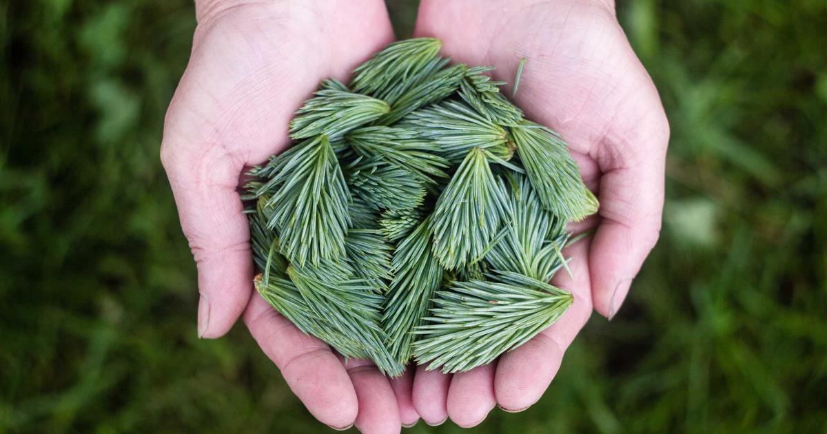 情绪领导力对团队绩效的影响