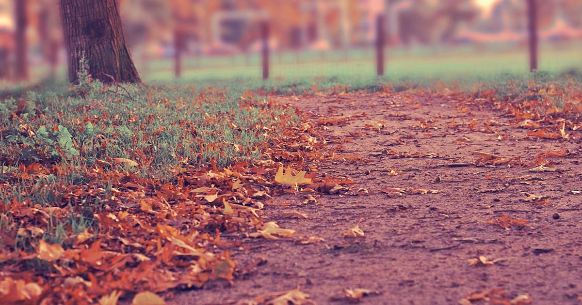 卓越领导者核心能力模型