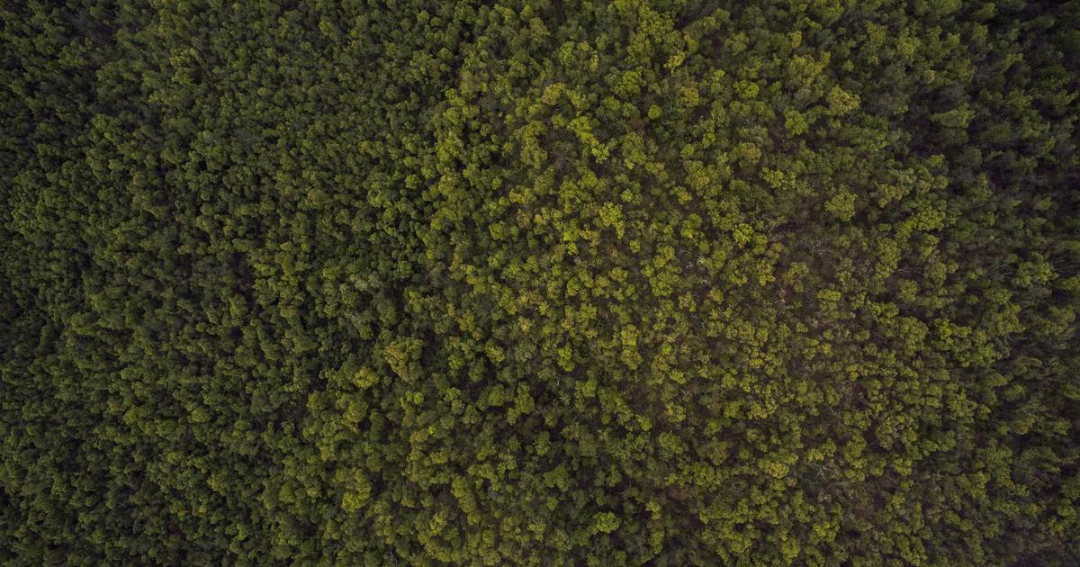 卓越领导者必修课：从管理者到领导者的进阶之路-家和文化生态圈